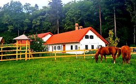 Turisticna Kmetija Hisa Ob Gozdu Pri Ptuju