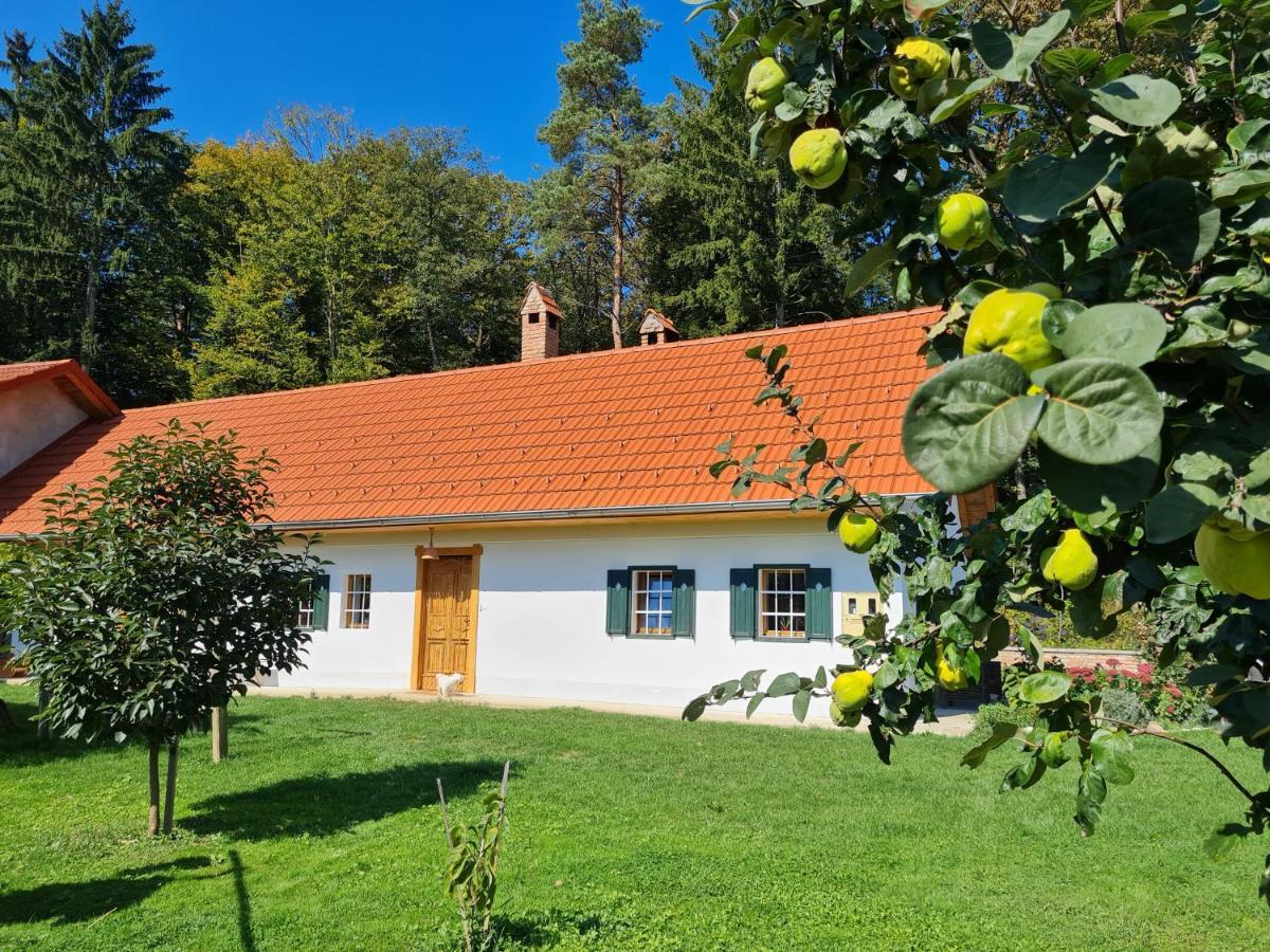 Turisticna Kmetija Hisa Ob Gozdu Pri Ptuju Villa Buitenkant foto