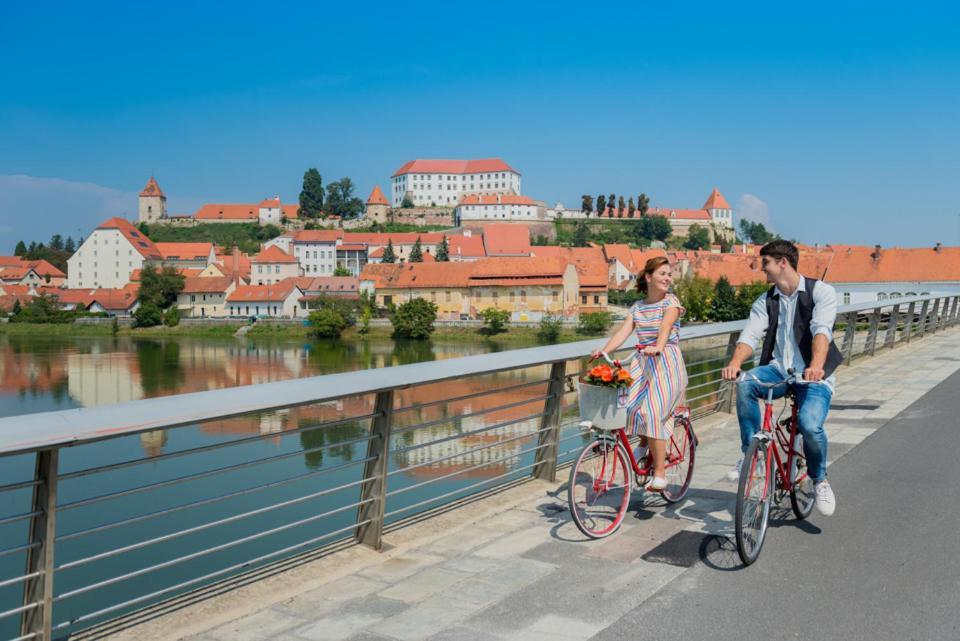 Turisticna Kmetija Hisa Ob Gozdu Pri Ptuju Villa Buitenkant foto